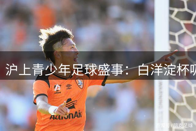 沪上青少年足球盛事：白洋淀杯吸引十国劲旅角逐冠军