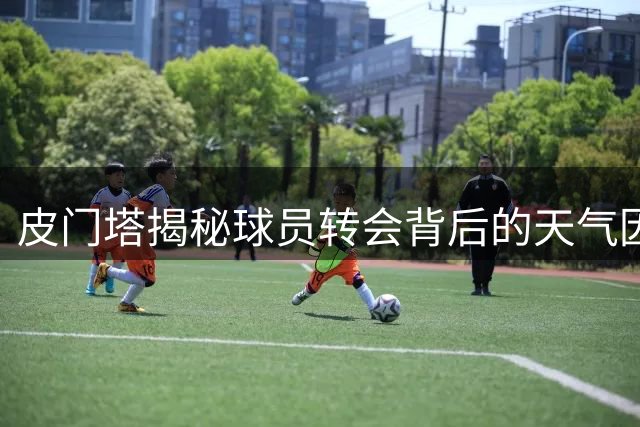 皮门塔揭秘球员转会背后的天气因素与行业偏见