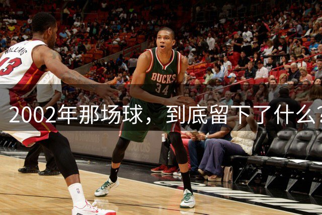 2002年那场球，到底留下了什么？